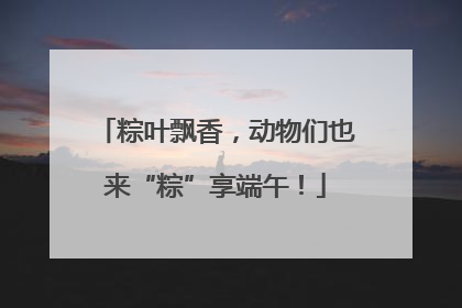 粽叶飘香，动物们也来“粽”享端午！